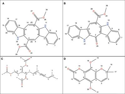 Anti-cancer properties of Caulerpa racemosa by altering expression of Bcl-2, BAX, cleaved caspase 3 and apoptosis in HeLa cancer cell culture